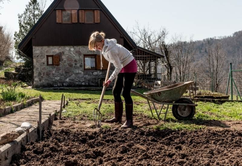 Improve Garden Soil Quality: A Real Gardener’s Guide