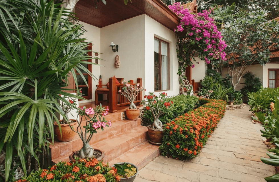 Best Year Round Garden Plants for Non-Stop Color